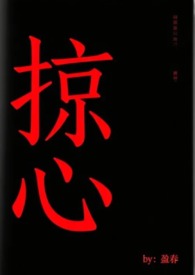 掠心掠心