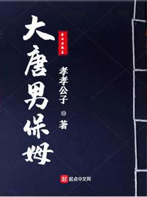 大唐男保姆大唐男保姆